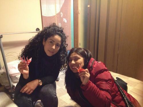 Hostal Shin Osaka Backpacker's Hostel