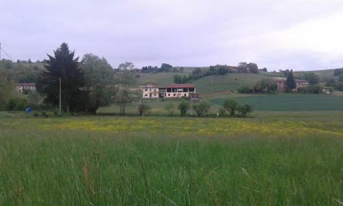 B&B La Coccarda