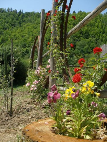 Agroturismo Agriturismo Podere Fiume