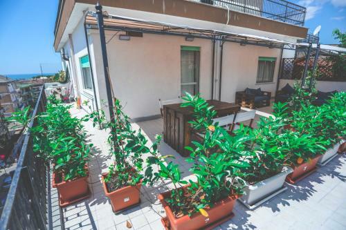 Hostal Il Viaggiatore Serapo
