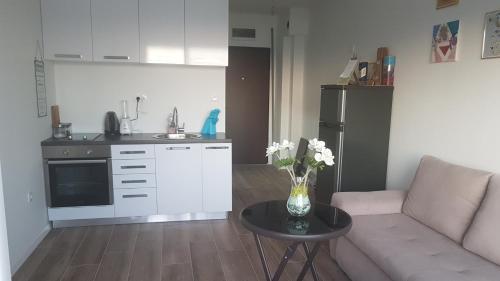 Lux Apartment Vidovic