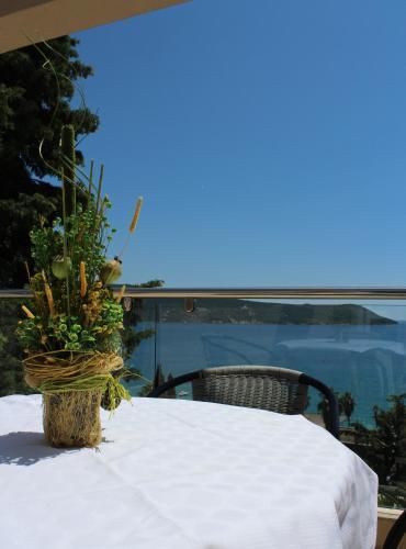 Swiss Hotel Montenegro