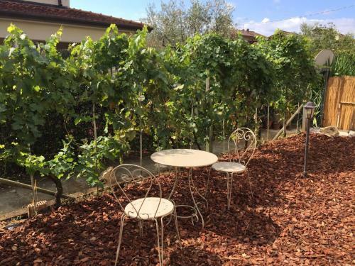 Bed & Breakfast Il Casale Del Giglio