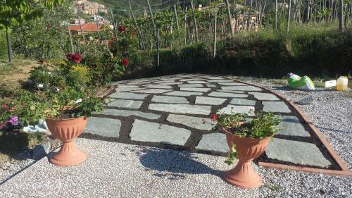 Agroturismo Agriturismo La Collina Verde