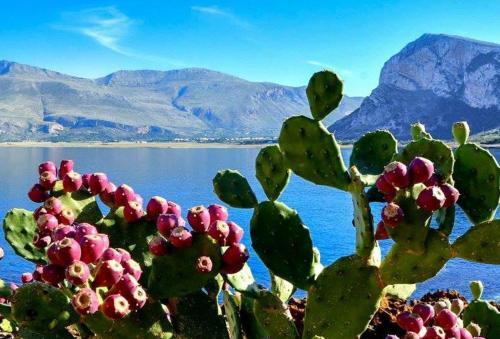 Hostal Bed And Breakfast Sapore Di Sale