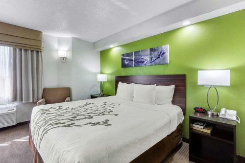 Hotel Sleep Inn Near Busch Gdns/usf