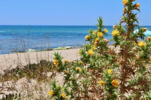 Apartamento Mediterranean �ikos