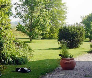 Agroturismo Agriturismo Alla Cedrara