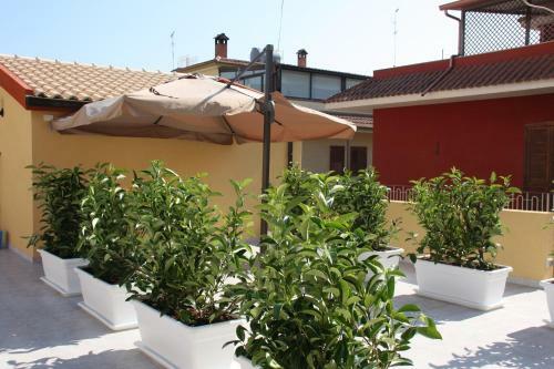 Apartamento Casa Viola