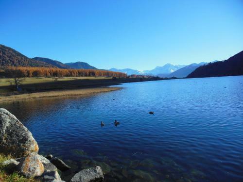 Apartamento Residence Alpin