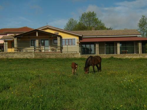 Agroturismo Agriturismo L.b.stud