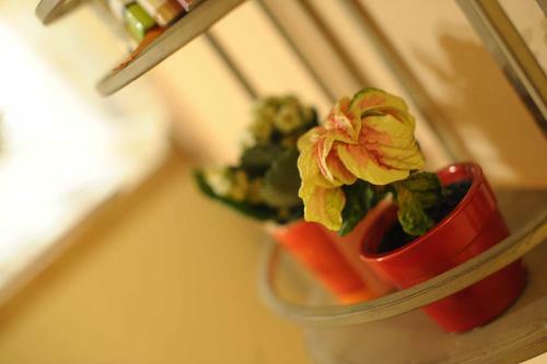 Hostal B&B Il Bacchino