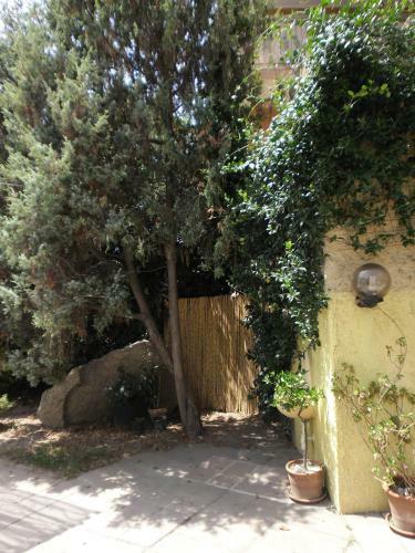 Bed & Breakfast Luna&limoni