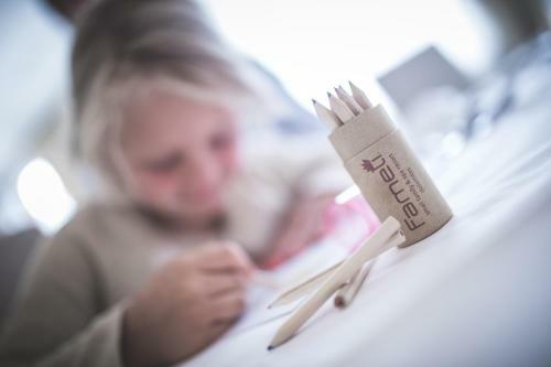 Hotel Famel�