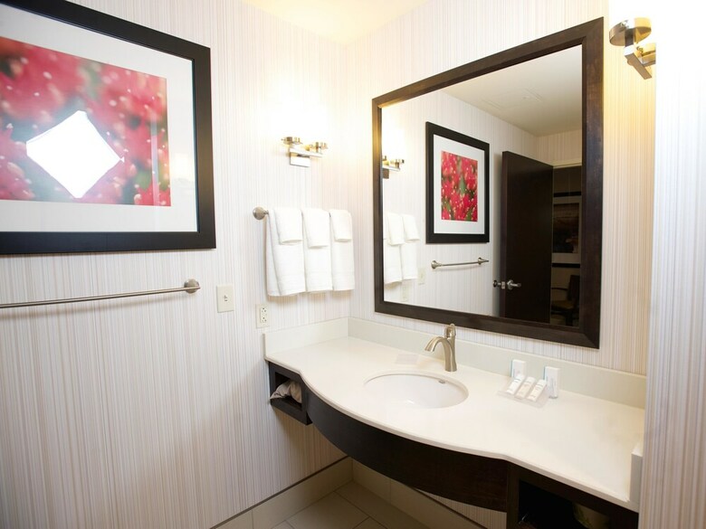 Hotel Holiday Inn Buffalo Downtown