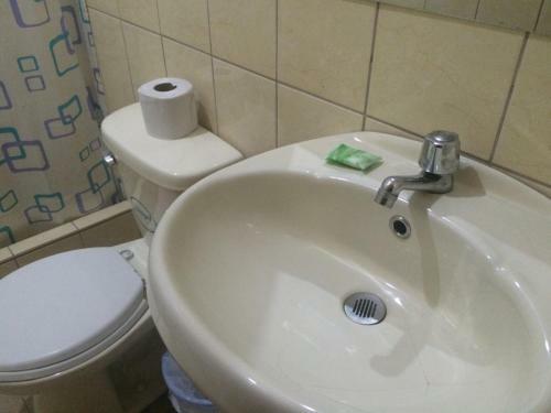 Hotel Hostal Vicu�a
