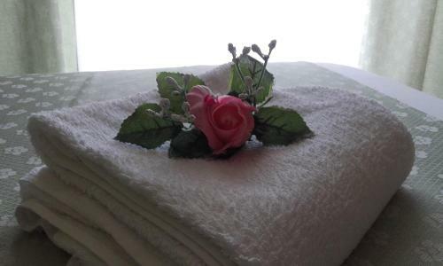 Hostal Residencial Tropic�lia Al