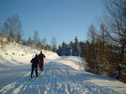 Hostal Penzion U Kozy