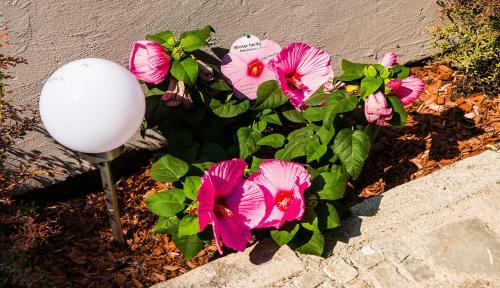 Hotel D?m U Pikov� Des�tky