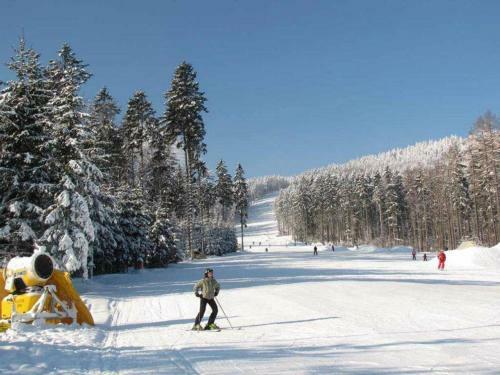 Hostal Penzion Chata Pod Sjezdovkou