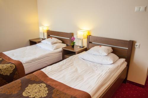 Bed & Breakfast Willa Jolanta