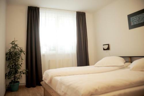 Apartament Waldo 2