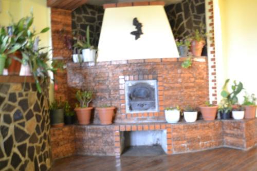 Hostal Villa Milcov