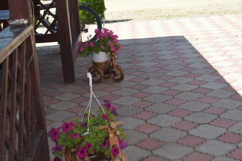 Hostal Pensiunea Mountain King