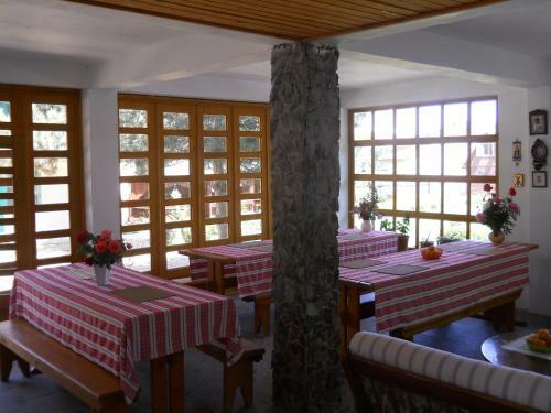 Hostal Pensiunea Sapte Pini