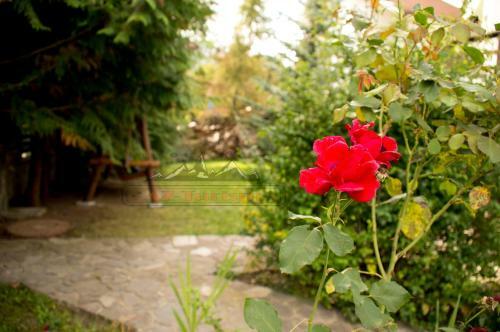 Villa Ski & Adventure Vila