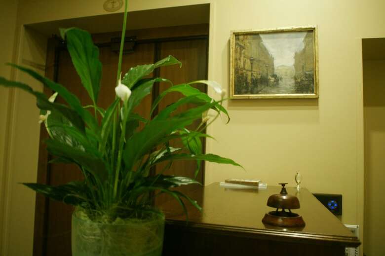 Hotel Lota