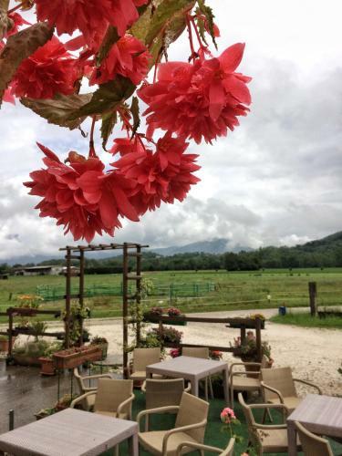 Agroturismo Agriturismo San Floreano