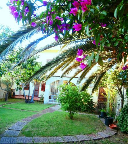 Bed & Breakfast West Coast
