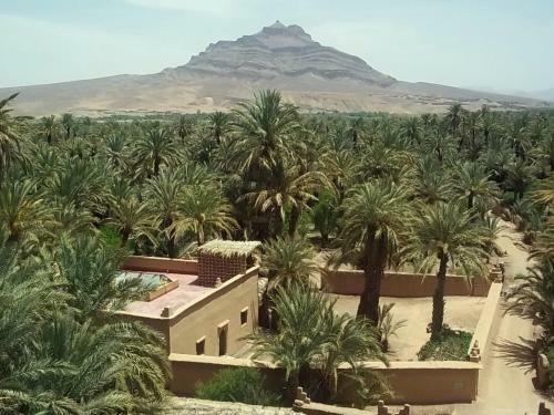 Hostal Dar Jnane - La Maison Du Jardin
