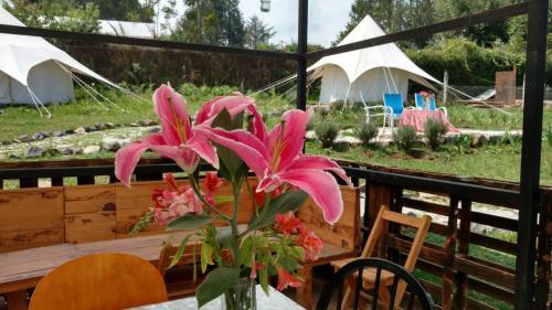Acatitlan Glamping