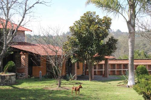 Villa Rancho San Antonio