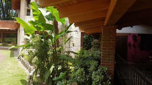 Villa Rancho San Antonio