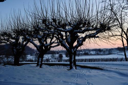 Agroturismo Gigante Wine & Welcome