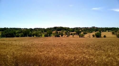 Agroturismo Agriturismo Podere Caggiolo