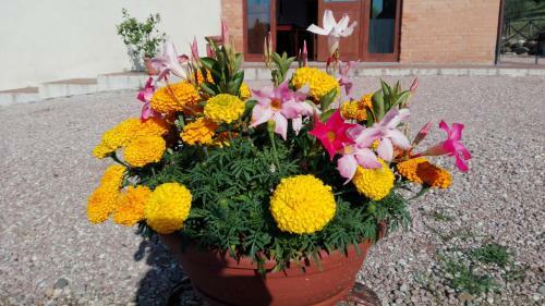 Agroturismo Agriturismo San Silvestro