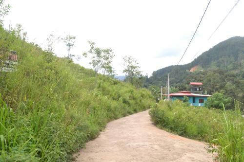 Nethuli Guest Inn And Hostel