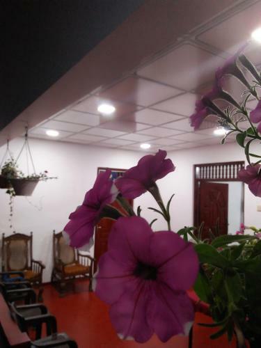 Hostal Inuja Guest