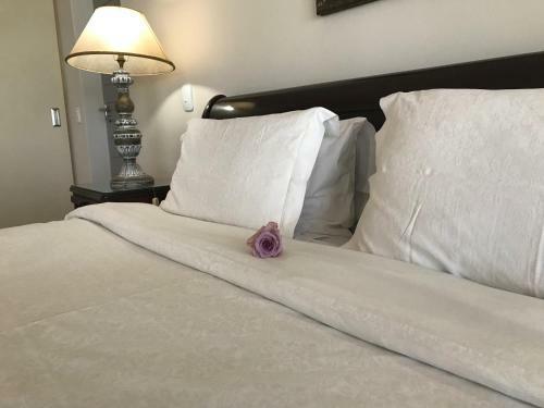 Hostal 51 On Camps Bay