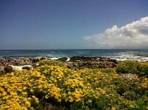 Villa Ocean Crest B&B