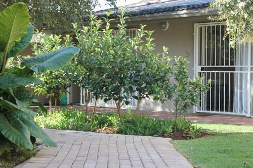 Hostal Fin And Feather Guesthouse