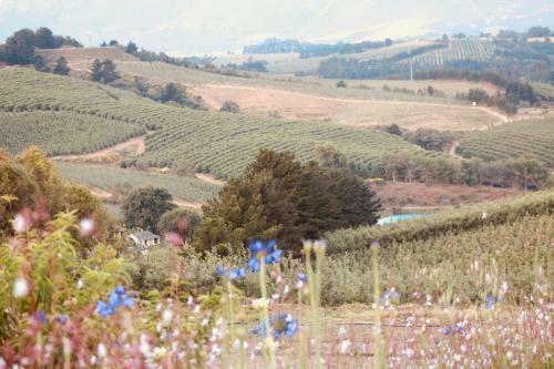Agroturismo Cheverells Farm