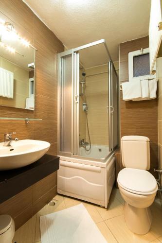 Hotel Temizay