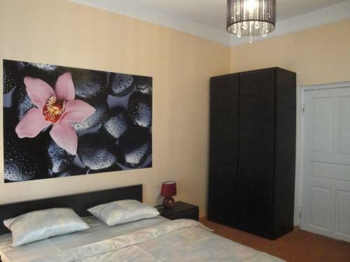 Hostal Assol