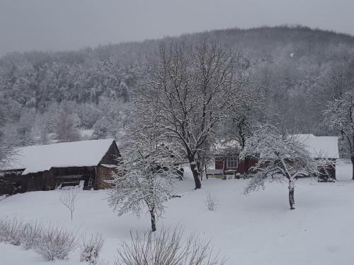 Lodge Pryvatna Sadyba U Myroslavy