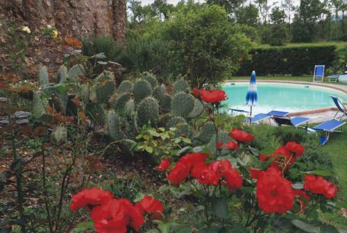 Agroturismo Agriturismo La Selva